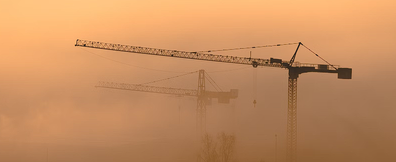 Crane in a fog